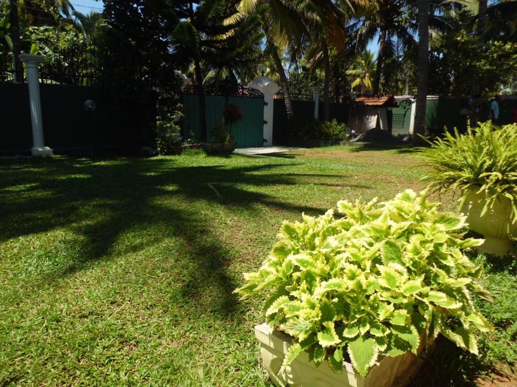 Villa W Bentota Kültér fotó